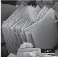 Micrografía electrónica de barrido del MOF CuBDC